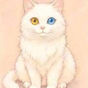 ヒメ日記 2025/10/11 19:33 投稿 まりあ 白いぽっちゃりさん仙台店