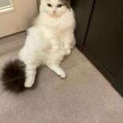 ヒメ日記 2025/10/22 23:48 投稿 まりあ 白いぽっちゃりさん仙台店