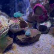 ヒメ日記 2025/11/02 05:48 投稿 まりあ 白いぽっちゃりさん仙台店