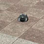 ヒメ日記 2025/11/03 01:48 投稿 まりあ 白いぽっちゃりさん仙台店