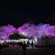 ヒメ日記 2026/04/05 10:28 投稿 まりあ 白いぽっちゃりさん仙台店