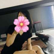 ヒメ日記 2025/06/04 10:20 投稿 桜木ゆみ ワイフコレクション