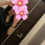 ヒメ日記 2025/06/29 16:13 投稿 桜木ゆみ ワイフコレクション