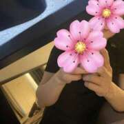 ヒメ日記 2025/08/02 09:56 投稿 桜木ゆみ ワイフコレクション