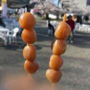 ヒメ日記 2025/07/16 17:58 投稿 あも 新潟市鳥屋野潟ちゃんこ