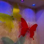 ヒメ日記 2025/07/26 11:11 投稿 あも 新潟市鳥屋野潟ちゃんこ