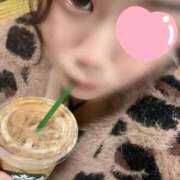 ヒメ日記 2025/10/24 20:16 投稿 あも 新潟市鳥屋野潟ちゃんこ