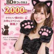 あも 🐱🎀 にゃんと！猫の日フライング開催だにゃ 🎀🐱 新潟市鳥屋野潟ちゃんこ