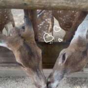 ヒメ日記 2025/07/31 18:44 投稿 ゆみ 秋葉原コスプレ学園(AKG)