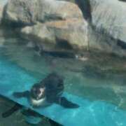 ヒメ日記 2025/08/02 12:41 投稿 ゆみ 秋葉原コスプレ学園(AKG)