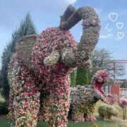 ヒメ日記 2025/08/26 22:41 投稿 ゆみ 秋葉原コスプレ学園(AKG)