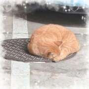 ヒメ日記 2025/11/03 21:11 投稿 ゆみ 秋葉原コスプレ学園(AKG)