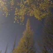 ゆみ ありがとう🌸 秋葉原コスプレ学園(AKG)