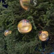 ヒメ日記 2025/12/14 19:31 投稿 ゆみ 秋葉原コスプレ学園(AKG)