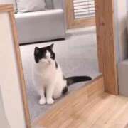 ヒメ日記 2026/02/15 16:01 投稿 ゆみ 秋葉原コスプレ学園(AKG)