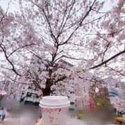 ヒメ日記 2026/03/29 20:21 投稿 ゆみ 秋葉原コスプレ学園(AKG)