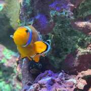 ヒメ日記 2025/06/26 23:20 投稿 らん 素人系イメージSOAP彼女感大宮館