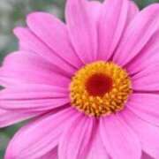 ヒメ日記 2025/05/08 12:51 投稿 あき 熟女の風俗アウトレット 岐阜岐南店