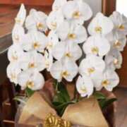 ヒメ日記 2025/05/15 18:21 投稿 あき 熟女の風俗アウトレット 岐阜岐南店