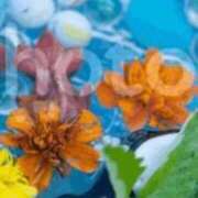 ヒメ日記 2025/05/20 13:51 投稿 あき 熟女の風俗アウトレット 岐阜岐南店