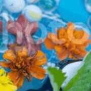 ヒメ日記 2025/05/22 13:51 投稿 あき 熟女の風俗アウトレット 岐阜岐南店