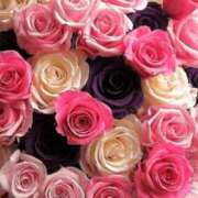 ヒメ日記 2025/06/27 09:41 投稿 あき 熟女の風俗アウトレット 岐阜岐南店