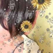 ヒメ日記 2025/05/11 18:06 投稿 かなで ふわもこ人妻ランド　那須塩原店