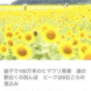 ヒメ日記 2025/08/15 16:09 投稿 かなで ふわもこ人妻ランド　那須塩原店