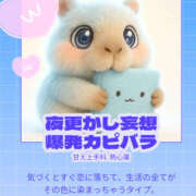 ヒメ日記 2026/03/26 07:12 投稿 かなで ふわもこ人妻ランド　那須塩原店