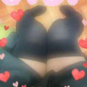 ヒメ日記 2026/04/15 19:12 投稿 かなで ふわもこ人妻ランド　那須塩原店