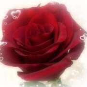 ヒメ日記 2025/05/05 18:50 投稿 ひまわり 奥鉄オクテツ神奈川店（デリヘル市場グループ）