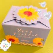 ひまわり 嬉しい！！ 奥鉄オクテツ神奈川店（デリヘル市場グループ）