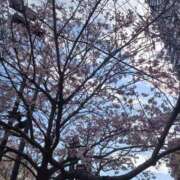 ヒメ日記 2026/03/25 19:50 投稿 えれん もしも素敵な妻が指輪をはずしたら・・・