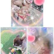 ヒメ日記 2025/08/14 23:07 投稿 さとみ（人妻） Yシャツと私