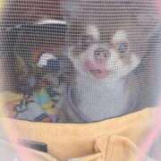 ヒメ日記 2025/08/20 22:16 投稿 さとみ（人妻） Yシャツと私