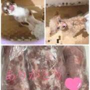 ヒメ日記 2025/08/21 21:05 投稿 さとみ（人妻） Yシャツと私