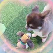 ヒメ日記 2025/08/22 18:14 投稿 さとみ（人妻） Yシャツと私