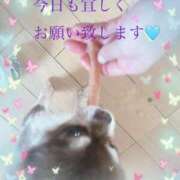 ヒメ日記 2025/08/28 09:00 投稿 さとみ（人妻） Yシャツと私