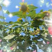 ヒメ日記 2025/08/28 19:41 投稿 さとみ（人妻） Yシャツと私