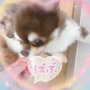 ヒメ日記 2025/09/06 01:02 投稿 さとみ（人妻） Yシャツと私