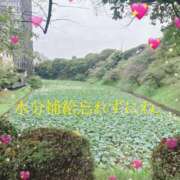 ヒメ日記 2025/09/07 11:10 投稿 さとみ（人妻） Yシャツと私