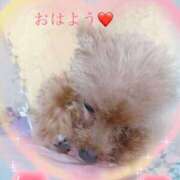 ヒメ日記 2025/09/10 15:31 投稿 さとみ（人妻） Yシャツと私