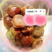 ヒメ日記 2025/09/22 20:48 投稿 さとみ（人妻） Yシャツと私