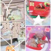 ヒメ日記 2025/10/08 22:32 投稿 さとみ（人妻） Yシャツと私