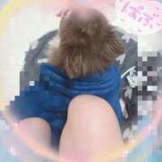 ヒメ日記 2025/10/17 23:06 投稿 さとみ（人妻） Yシャツと私