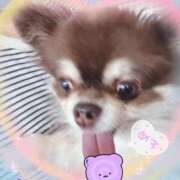 ヒメ日記 2025/10/27 12:45 投稿 さとみ（人妻） Yシャツと私