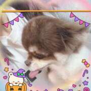 ヒメ日記 2025/10/27 20:49 投稿 さとみ（人妻） Yシャツと私