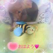 ヒメ日記 2025/10/30 06:54 投稿 さとみ（人妻） Yシャツと私