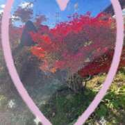 ヒメ日記 2025/11/14 17:13 投稿 さとみ（人妻） Yシャツと私