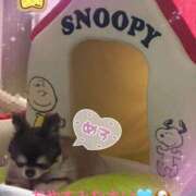 ヒメ日記 2026/02/13 23:47 投稿 さとみ（人妻） Yシャツと私